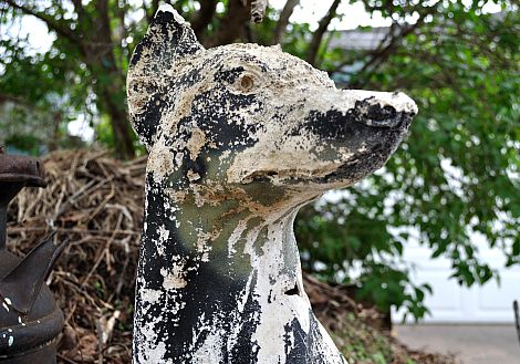 CrustyDogHeadBlog