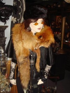 fox stoll
