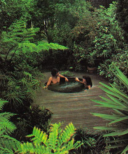 Hot tub that looks like it's in the middle of a jungle.