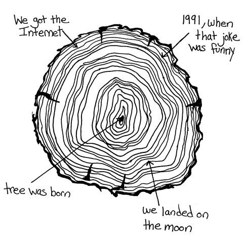 A cross section of a tree trunk showing when the Saturday Night Live skit about making copies was last funny.